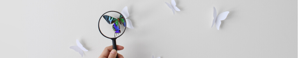 Magnifying glass over butterfly